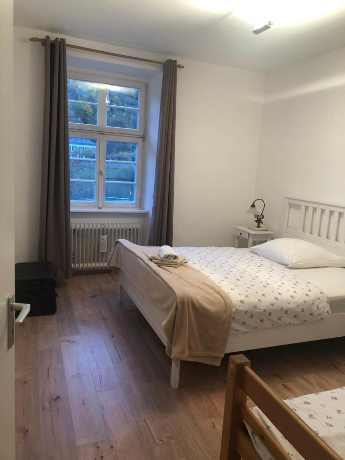 Philosophen Und Neckarblick Apartment هايدلبرغ المظهر الخارجي الصورة
